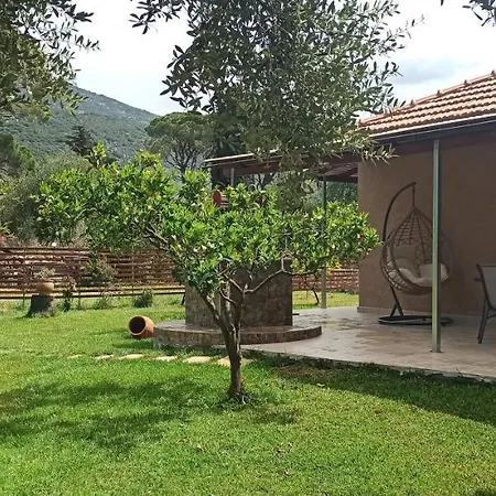 Vasiana Holiday home *