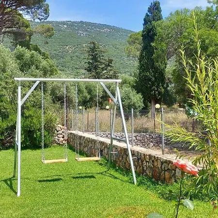 Vasiana