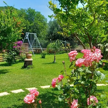 Vasiana Holiday home *