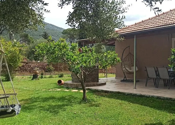 Vasiana Nyaraló *