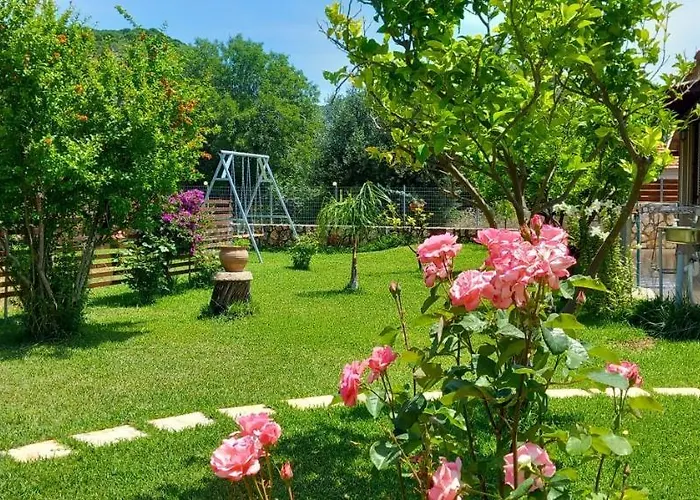 Vasiana Nyaraló *